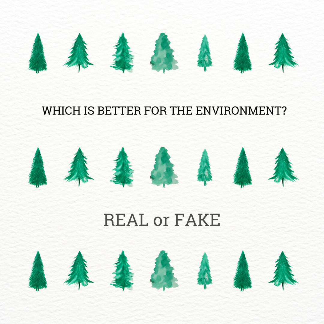 Is a real or fake Christmas tree better for the environment?