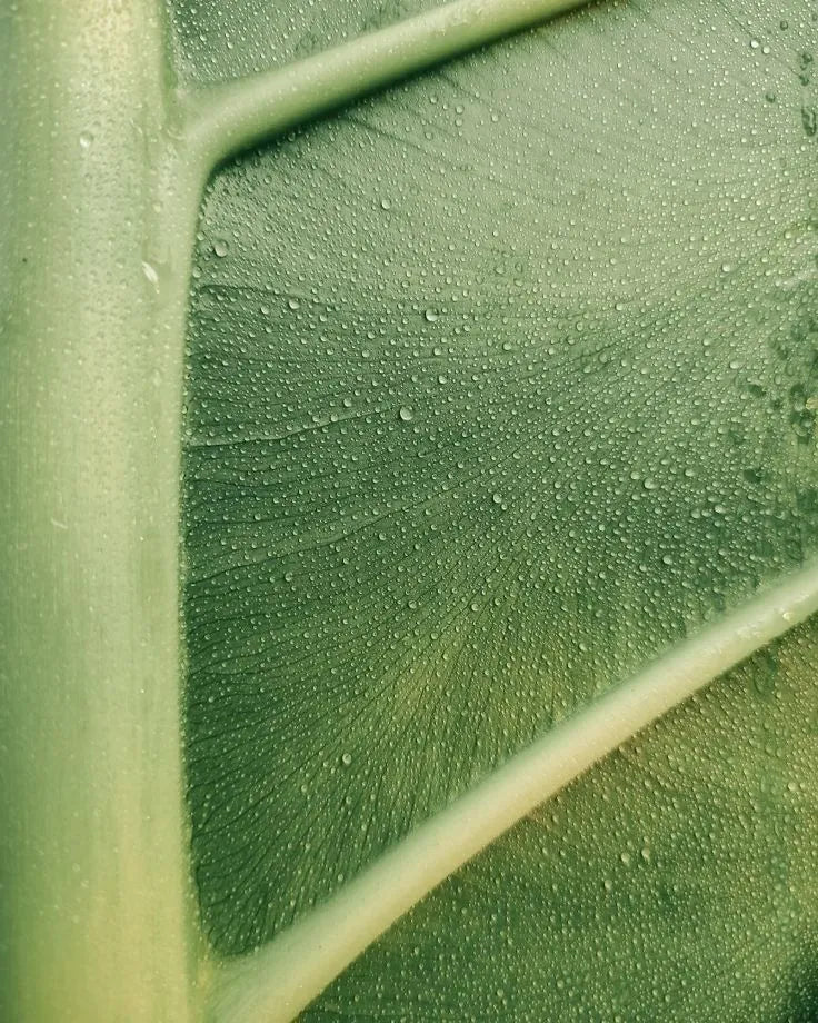 TENCEL™: Planetary Fabric Coolant