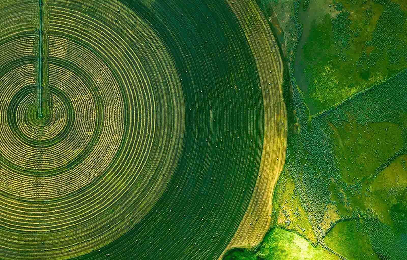 Uniforms for One Health