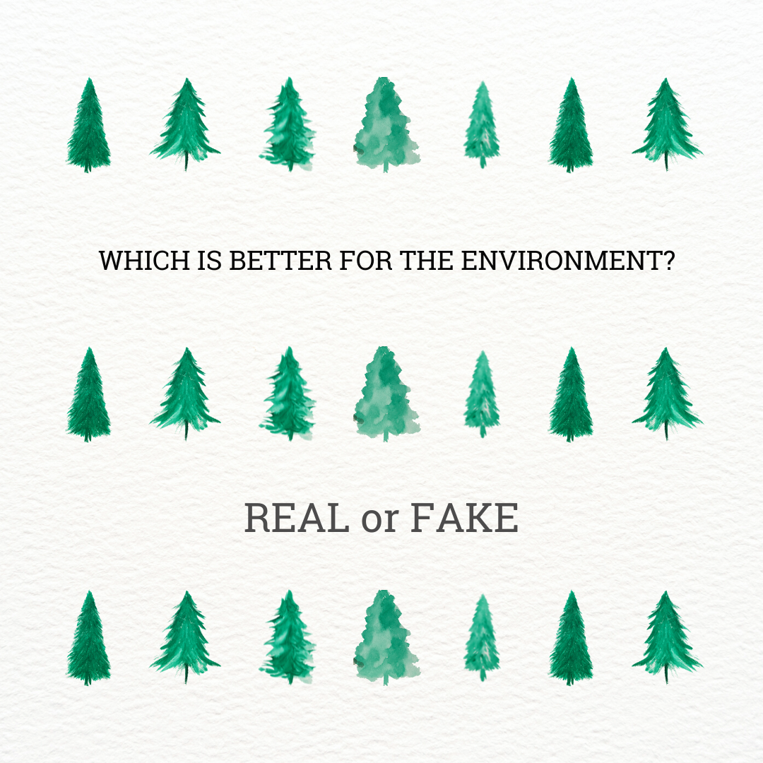 Is a real or fake Christmas tree better for the environment? 